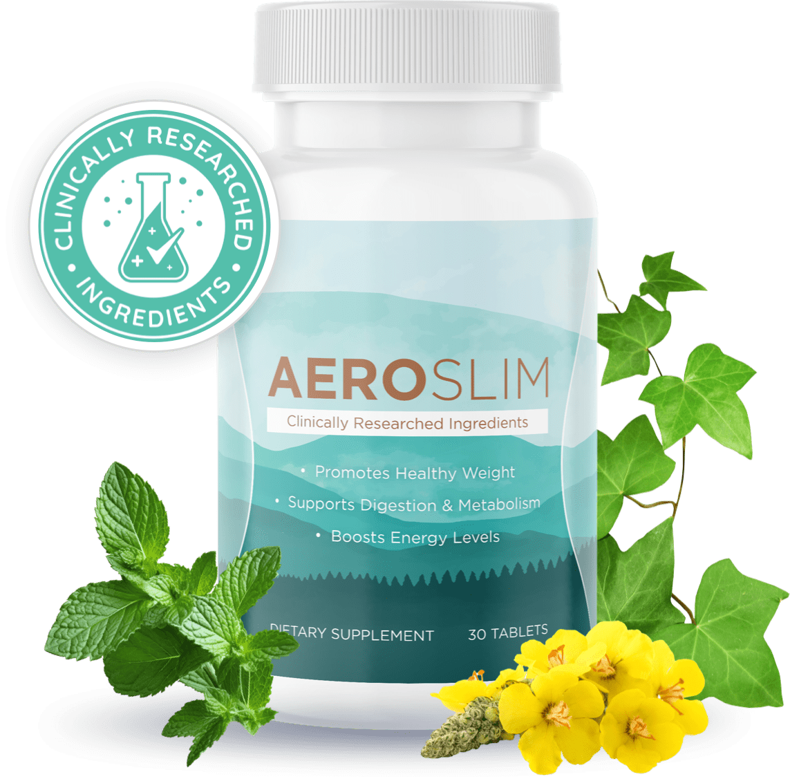 AEROSLIM BUY